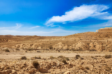 Fototapeta na wymiar View of Sahara desert hills with sand dunes and stones, vegetation and blue sky. Landscape photography of expanses of sandy desert sunny day, Sahara, Tozeur city, Tunisia, Africa. Copy ad text space