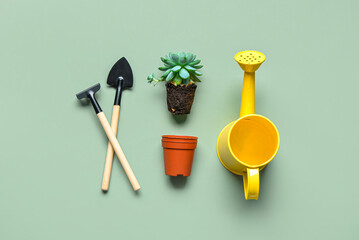 Gardening rake, shovel, watering can and plant on green background