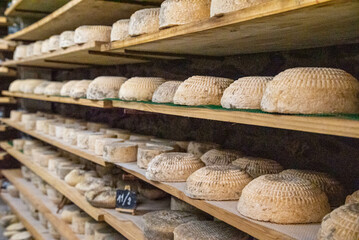 Handcrafted Goat, Cow, and Sheep Cheeses