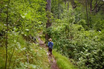 School child is hiking and exploring nature in forest. Preteen boy travel in woodland. Summer vacation activity for inquisitive kids in parkland. Adventure, scouting, tourism for kids