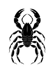 scorpion zodiac horoscope astrology twelve metaphysical sectors