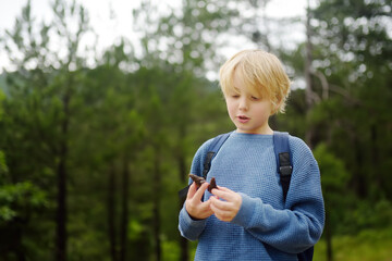 School child with backpack is hiking and exploring nature in the forest. Little boy is traveling in the woodland. Child examines a pine cone. Summer camp vacation for inquisitive kids.