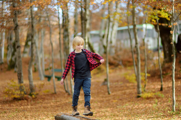 Cheerful child during hike in the forest on a sunny autumn day. Preteen boy is having fun while walking through the autumn forest. Active leisure time on nature.