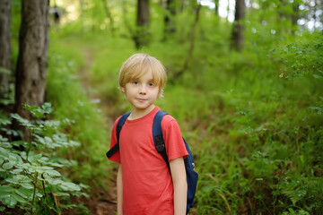 School child is hiking and exploring nature in forest. Preteen boy travel in woodland. Summer vacation activity for inquisitive kids in parkland. Adventure, scouting, tourism for kids