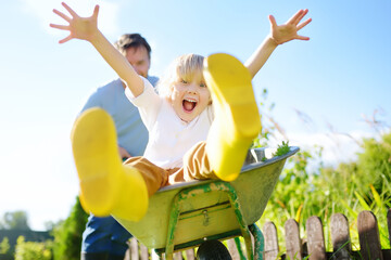 Happy little boy having fun in a wheelbarrow pushing by dad in domestic garden on warm sunny day. Active outdoors games for kids in summer.