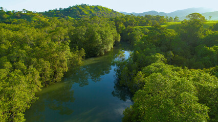 AERIAL: Slow flowing jungle river among lush green trees in tropical Panama