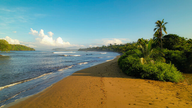 Peaceful morning on an empty tropical sandy beach with beautiful breaking waves