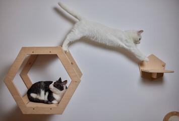 Cat scratching post wall mounted in modern room for pet on white wall, stylish decoration for cat...