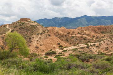 Fototapeta na wymiar Sand canyon in Manjily Ata not far from Fairy canyon in Kyrgyzstan