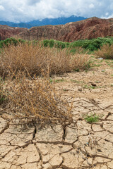 Dry land in Kyrgyzstan, cracked soil, bush, mountains, Fairy canyon 