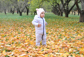 Beautiful little girl in blue overalls in autumn park.