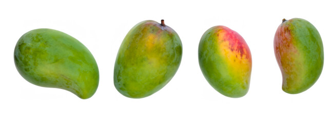 Mango in various angles isolated on white background. Fruits.