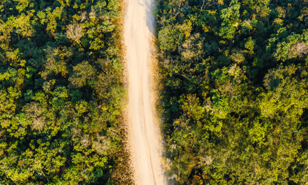 Forest seen from above. A dirt road in the middle of a green forest.