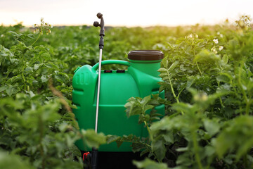 Plastic green backpack container sprayer with liquid of pesticide, herbicide for protecting plants from diseases and pests stands in vegetable garden with potato blooming. Agricultural seasonal work