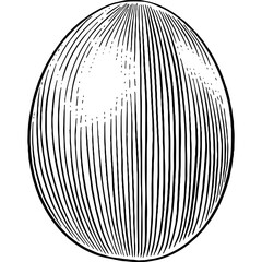 Hand drawn Egg Sketch Illustration