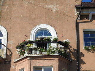 balcony with flowers in pillau, russia