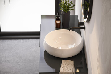 Chic bathroom setup with soap dispensers, towels, plant, black-framed mirror