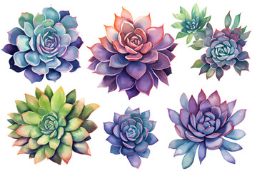 set of multicolored different watercolor succulents on white background, clipart isolated on transparent background, generative ai