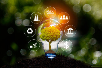 eco green energy system. Green tree in light bulb on grass nature, Net zero in 2050 year. Green...
