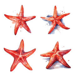 Starfish watercolor paint collection