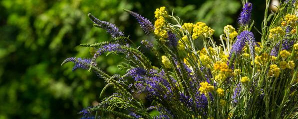 wild natural blue and yellow flowers for banner background