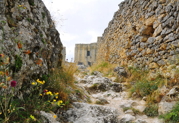 salendo tra rocce e fiori verso l'antica fortezza, 