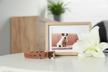 Frame with picture of dog, collar and lily flower on white table indoors, space for text. Pet funeral