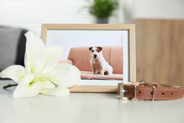Frame with picture of dog, collar and lily flower on white table indoors. Pet funeral