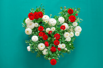 flower heart.buttercup flowers heart.White and red ranunculus heart on a turquoise background....