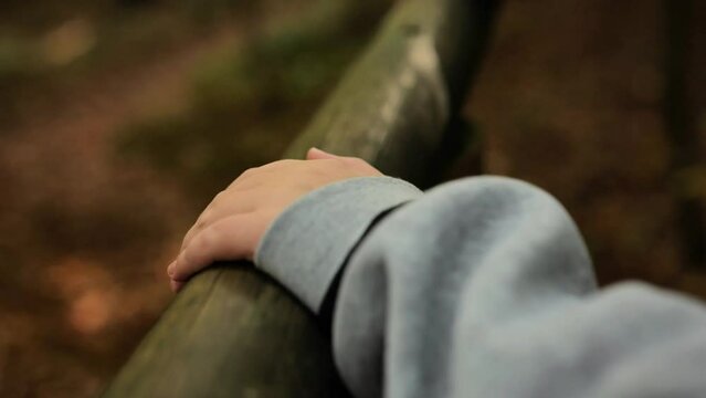 Hands on the railing close-up. Childrens and mans hand on a wooden railing in the forest. soft focus.Walk in the autumn forest at dusk. 4k footage