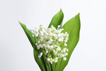 Obraz premium Beautiful lily of the valley flowers with leaves on light grey background, closeup