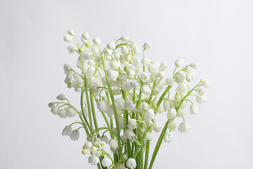 Beautiful lily of the valley flowers on light grey background, closeup