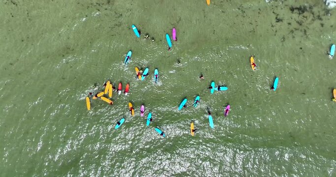 Multicoloured surfboards in the water off the shore 4k