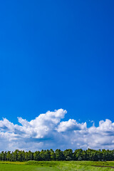 初夏の高原の青空と白い雲_001

