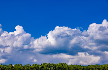 初夏の高原の青空と白い雲_004
