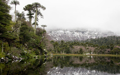 laguna verde con nieve 