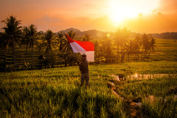 Photo of a village boy waving the Indonesian flag in the middle of a rice field with the silhouette of an optical sunset flair