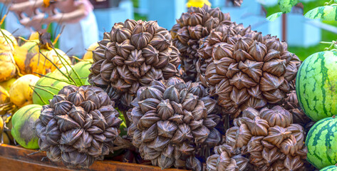 A group of Nipa palm's fruits from the mangrove forest are sold at the market. This is a fruit food rich in minerals useful for humans