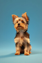 Very cute puppy Yorkshire Terrier in nature, national geography, Wide life animals. AI Generated.