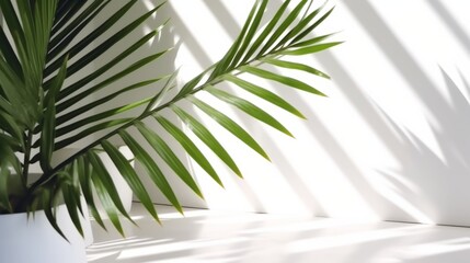 clean and clear white wall with shadow of tropical plam botany tree leaf pattern natural design template mockup for advertising backdrop,ai generate
