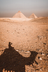 Great Pyramids of Giza, Camel Ride