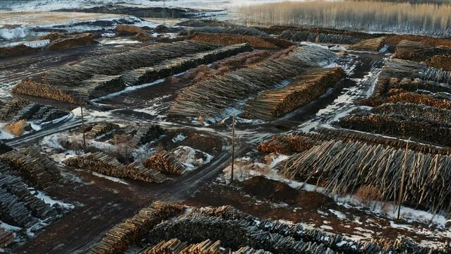 Aerial shot of massive stockpiles of cut trees in a snow covered Canadian landscape in Thurso Quebec for the pulp and paper industry