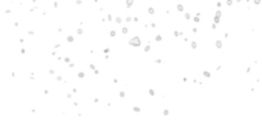 snow falling stock image