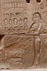 bas relief on the wall, hieroglyphics 
