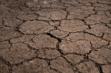 Dry soil crack background,abstract