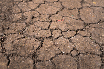 land with dry cracked ground