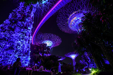 Gardens by the Bay one of the highlights And a tourist attraction of Singapore 18 Supertrees, which...