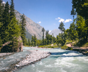 A river running through a meadow in Kumrat Valley. Amazing view of Kumrat valley in Pakistan Amazing view of Trees and a cold water river adventure place in Pakistan. © Saqib