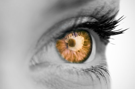 Digital png photo of close up of woman's brown eye on transparent background