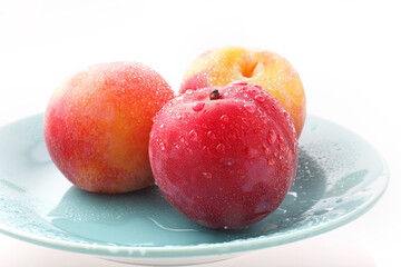 あんず　スタジオ撮影